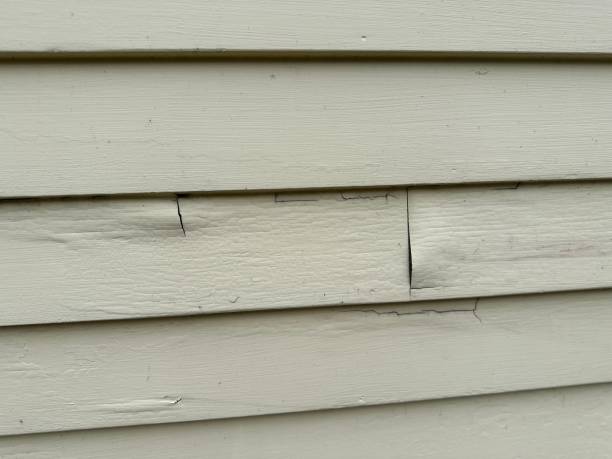 Best Siding Removal and Disposal  in Landover, MD